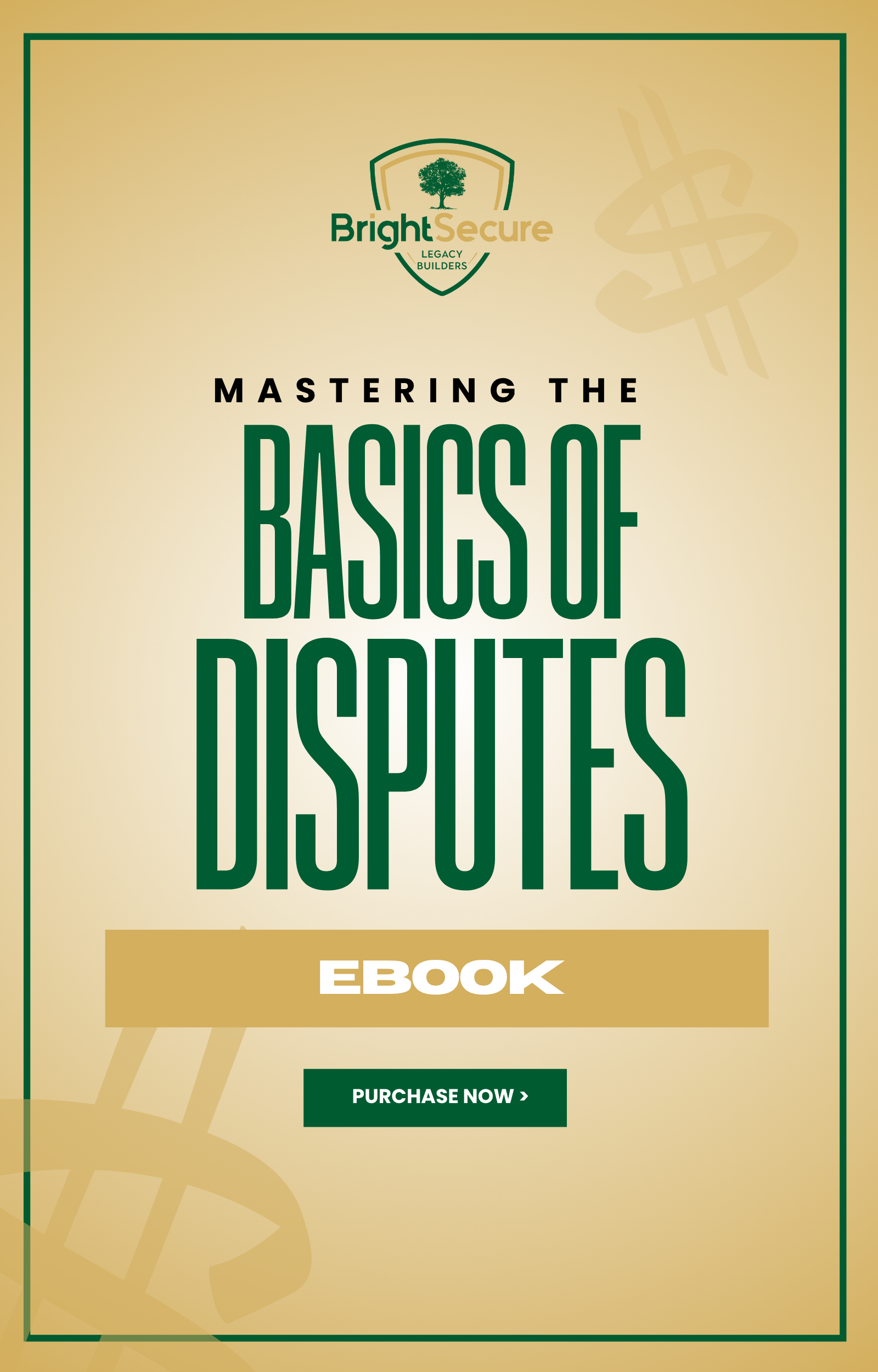 Mastering the Basics of Disputes Ebook