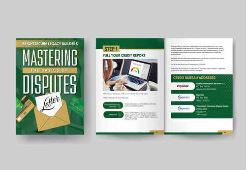 Mastering the Basics of Disputes Ebook